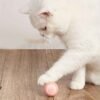 Interactive Cat Ball Toy - supdealz