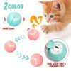 Interactive Ball For Cats - supdealz